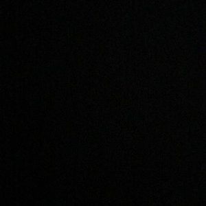 Meet your Posher, Terrell